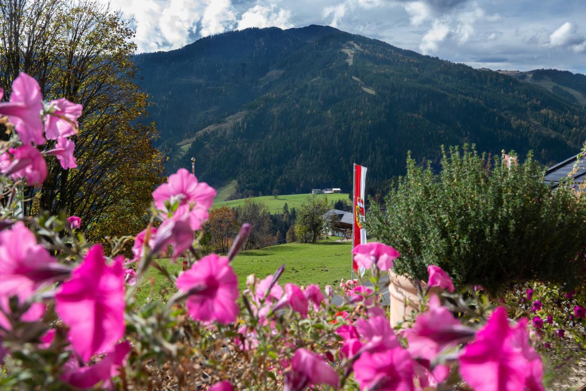 Sonnhof Am Hochkoenig Hotel Mühlbach Exterior photo
